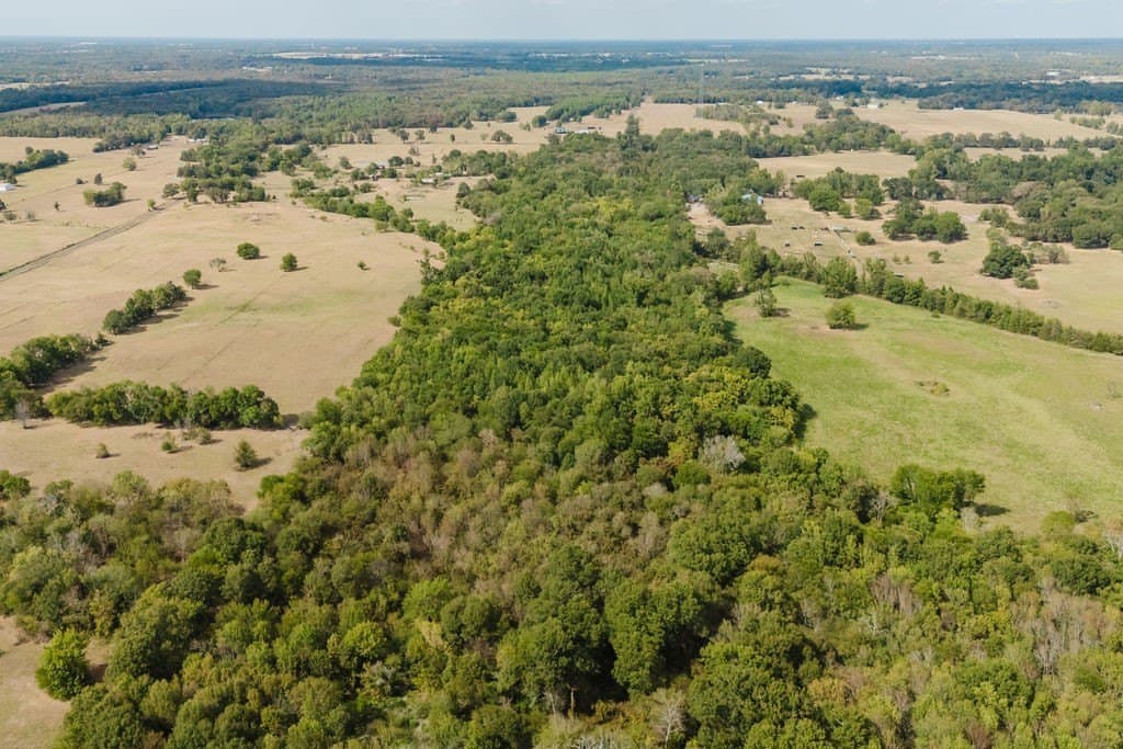 36.9 acres in Franklin (TX) County - photo 11