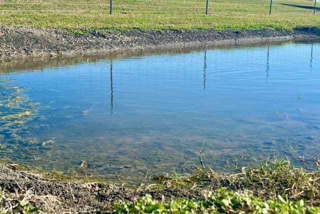 2 acres in San Patricio County gallery image 4