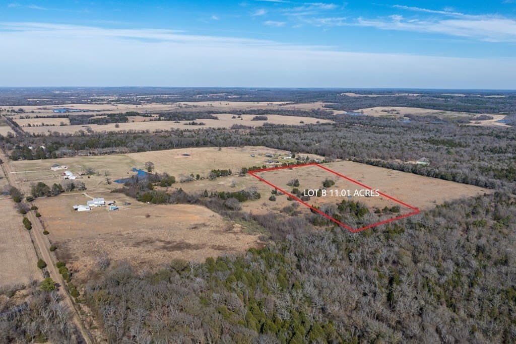 11.01 acres in Henderson County gallery image 4
