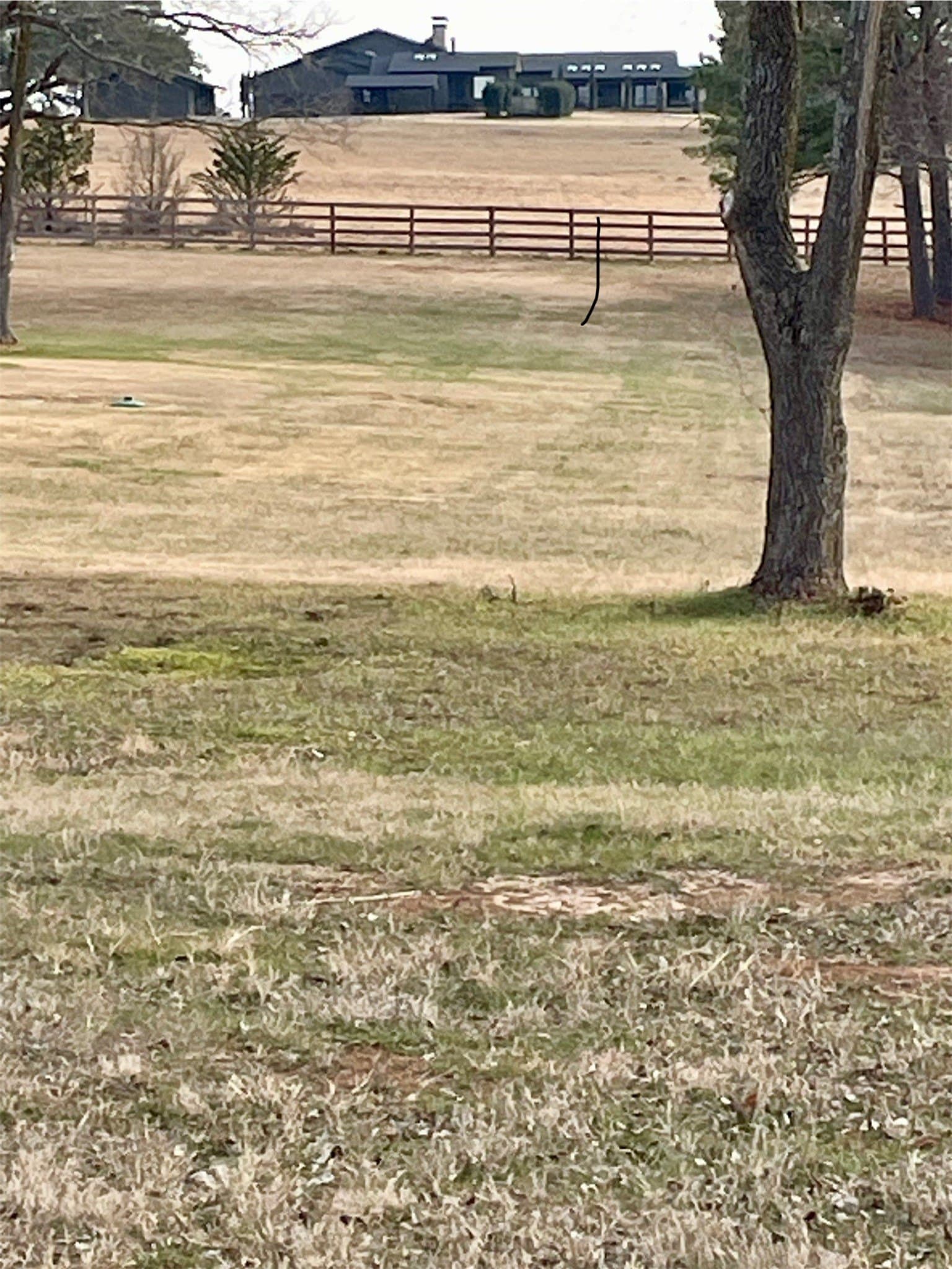 2.53 acres in Henderson County - photo 14