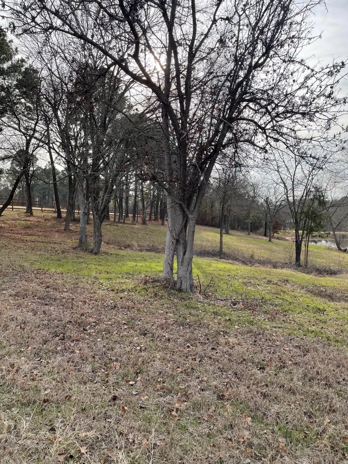 2.53 acres in Henderson County - photo 17