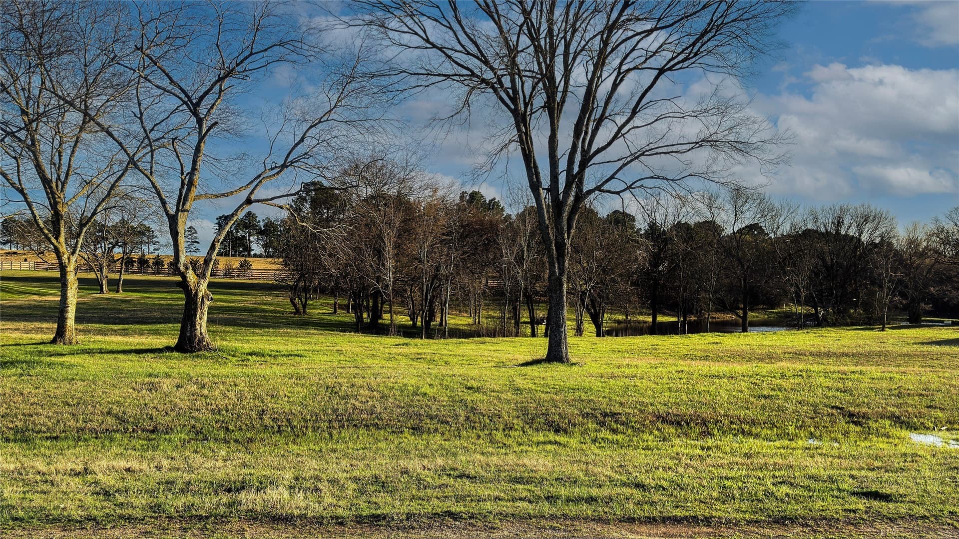 2.53 acres in Henderson County - photo 11