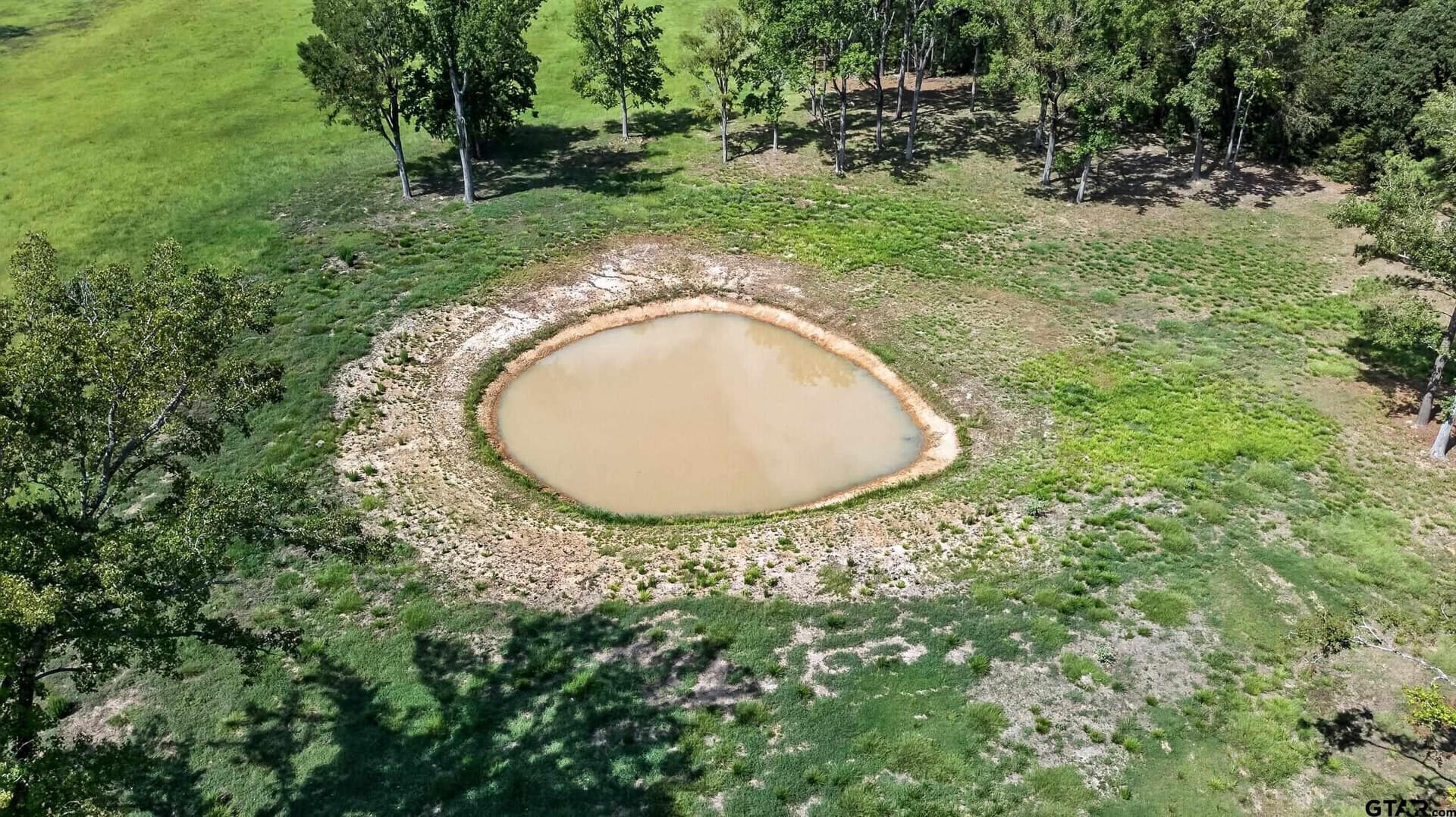 68 acres in Anderson County - photo 39