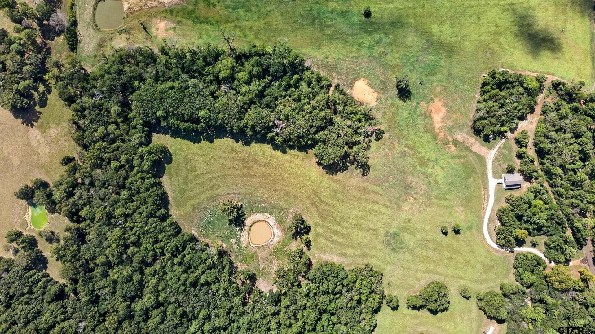 68 acres in Anderson County - photo 38