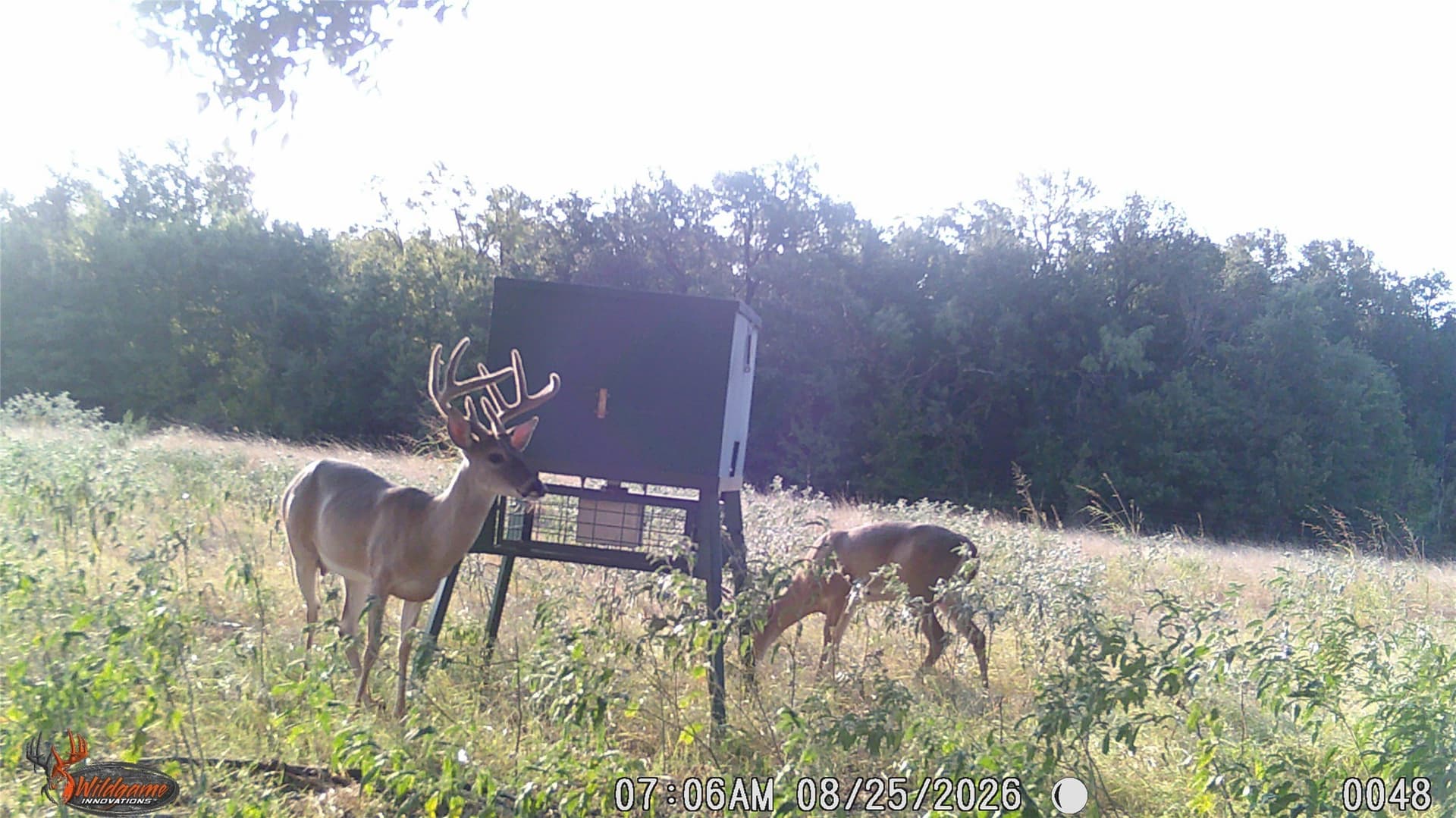 59.79 acres in Erath County - photo 14