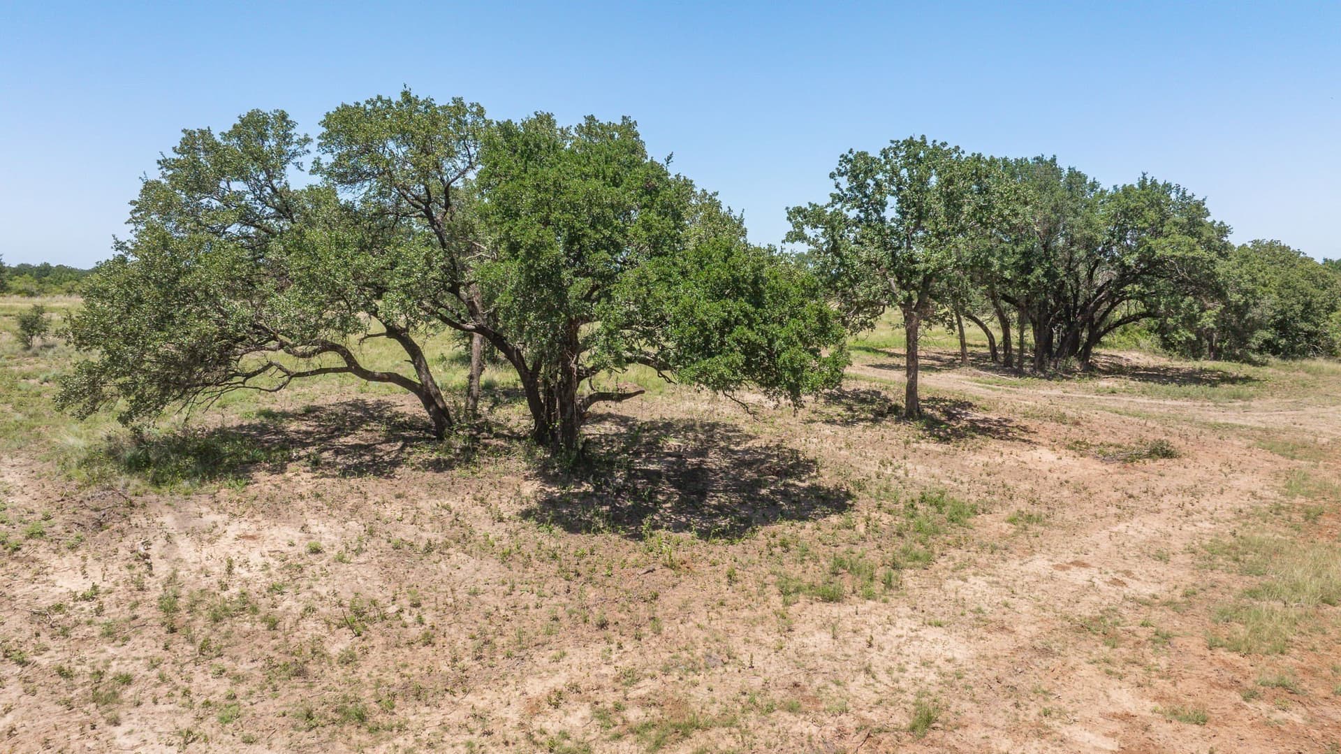 59.79 acres in Erath County - photo 10