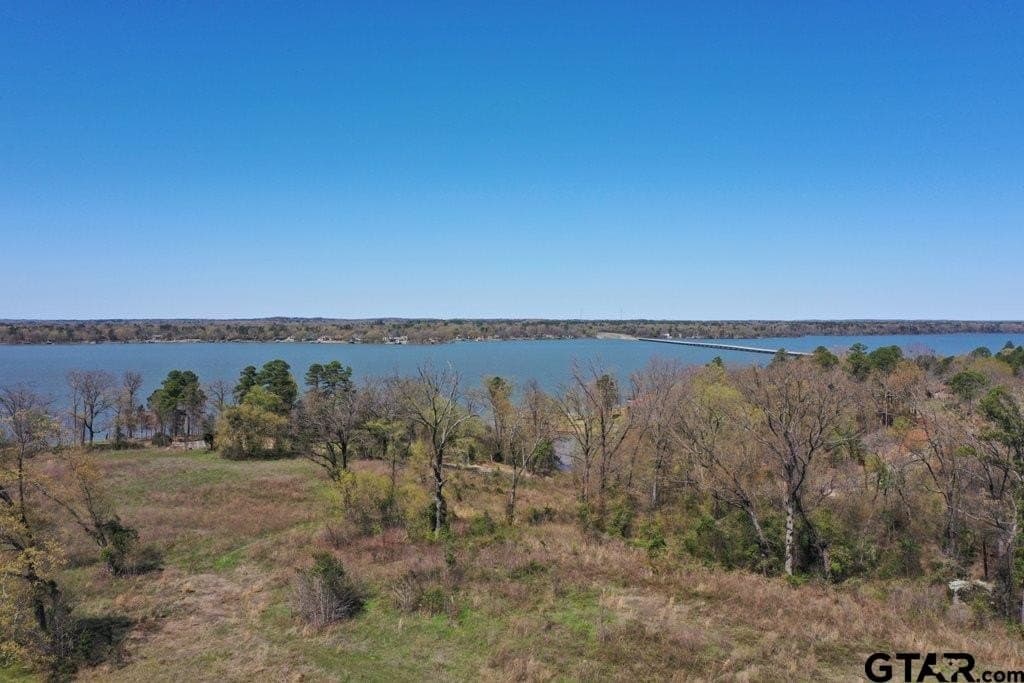 0.96 acres in Camp County - photo 19