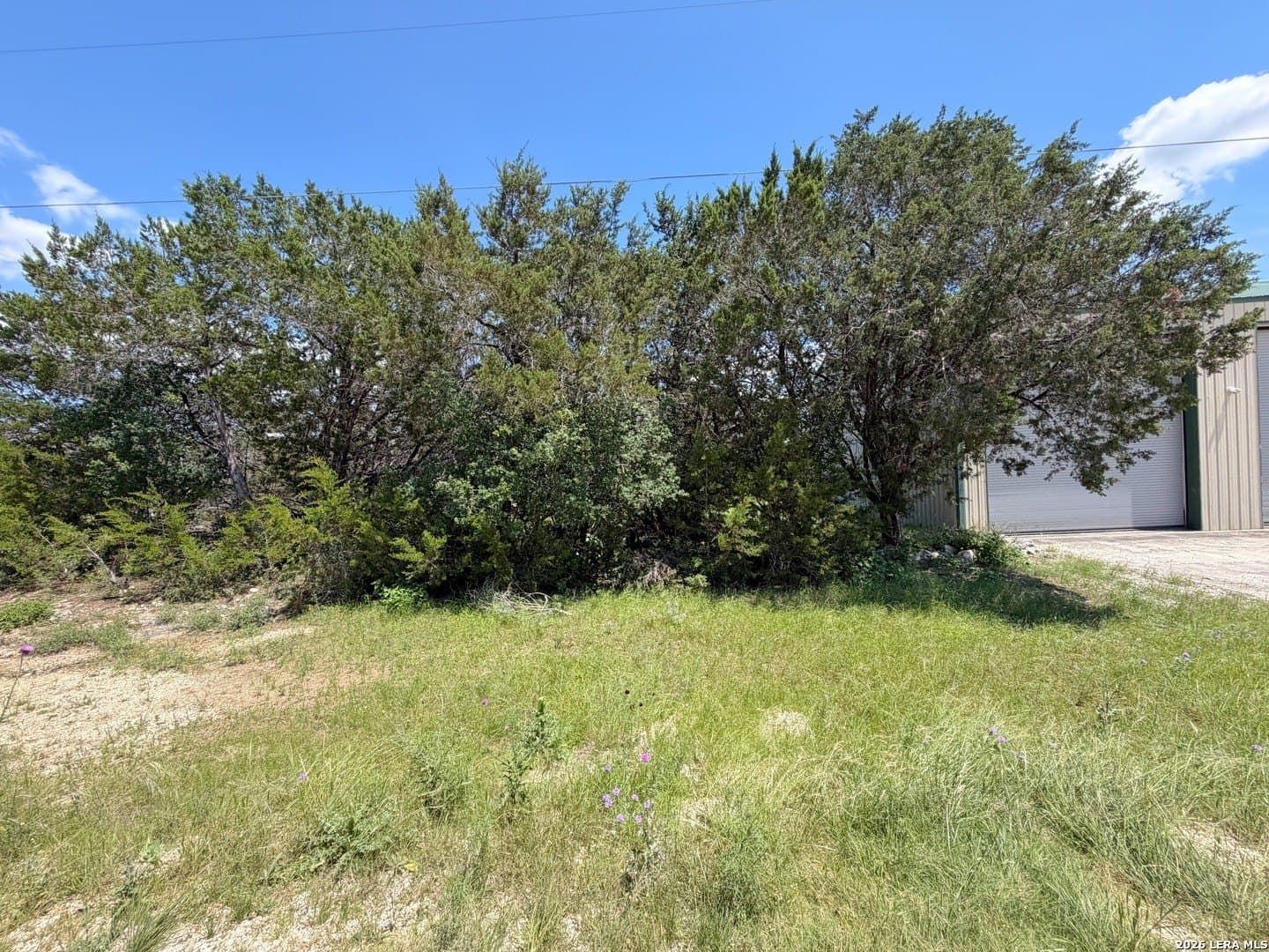 0.13 acres in Comal County gallery image 3