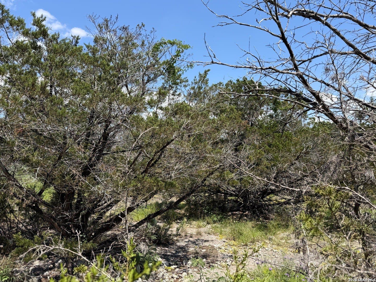 0.13 acres in Comal County - photo 10