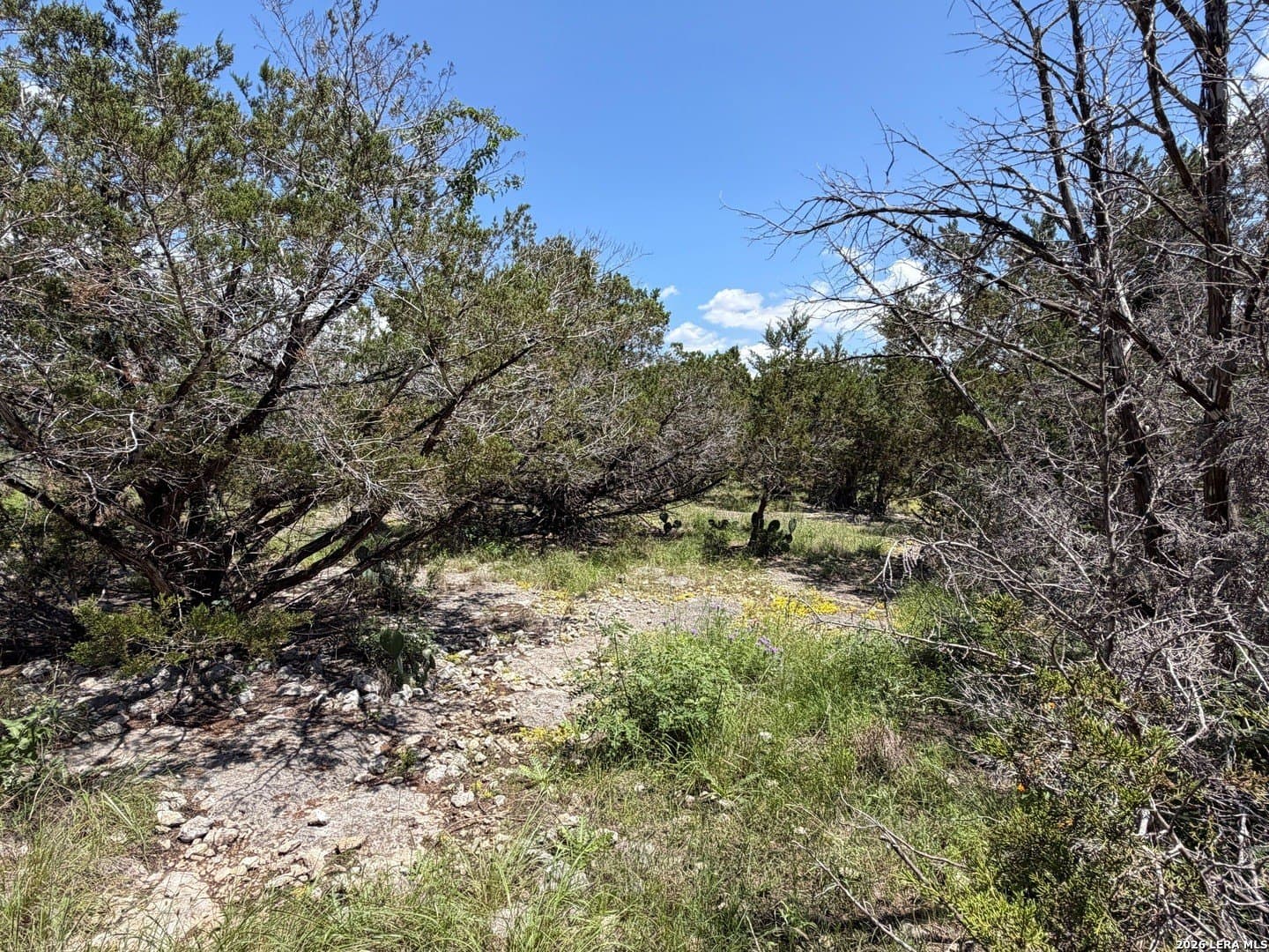 0.13 acres in Comal County - photo 12