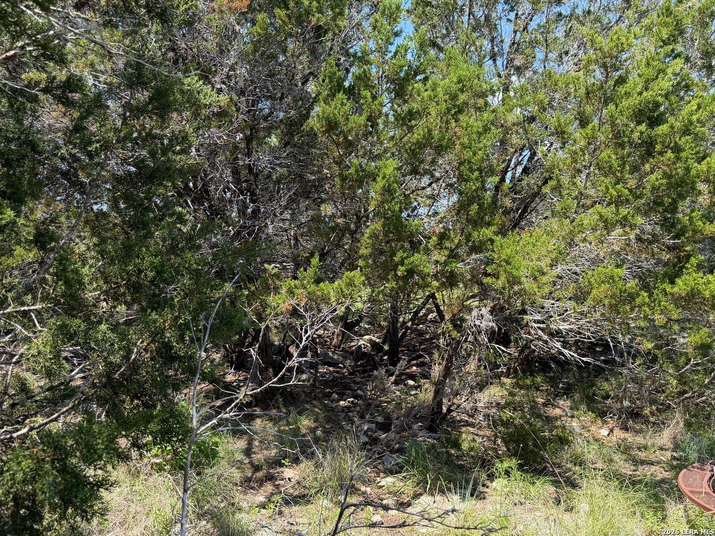 0.13 acres in Comal County - photo 9