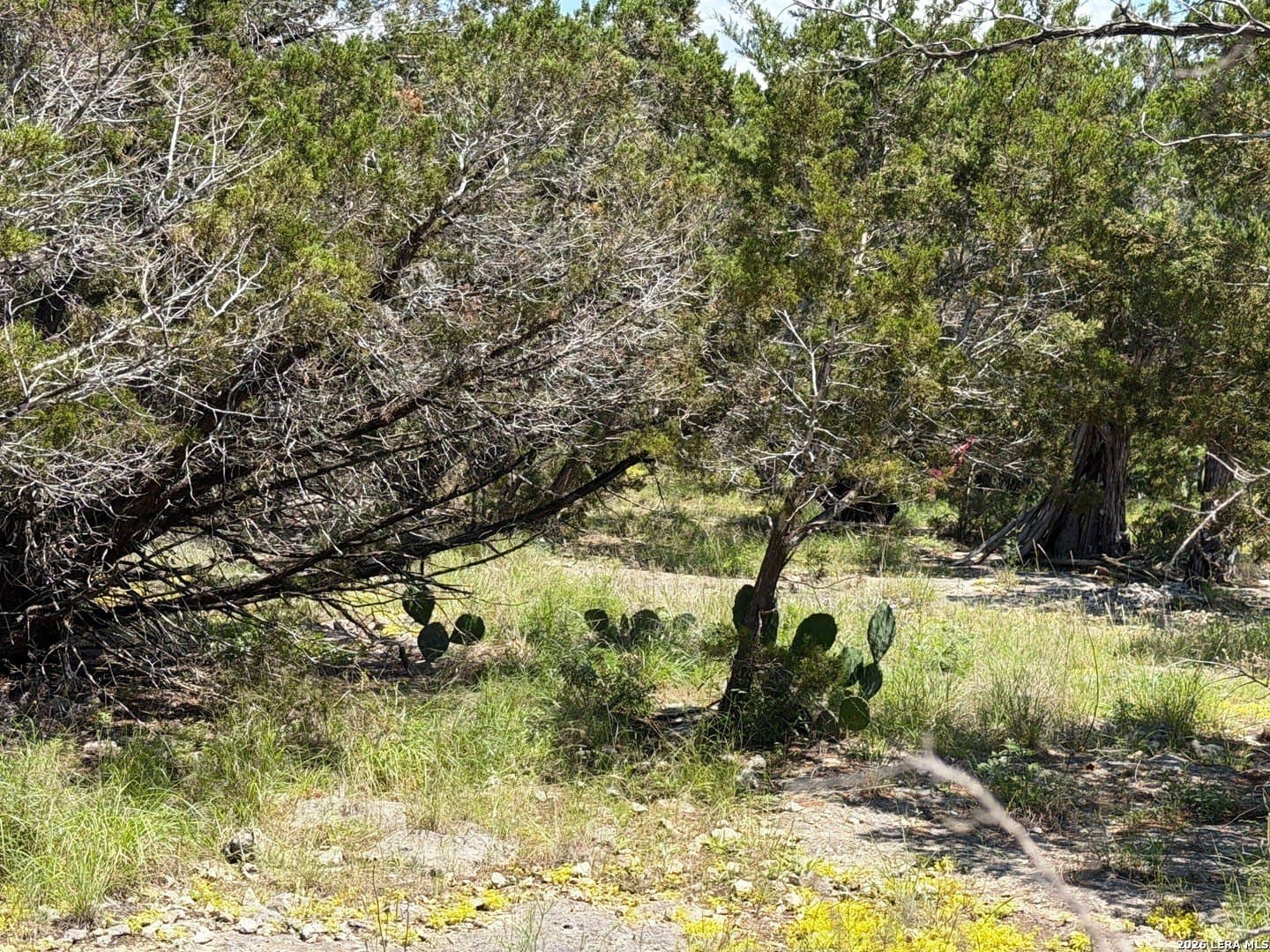0.13 acres in Comal County - photo 13