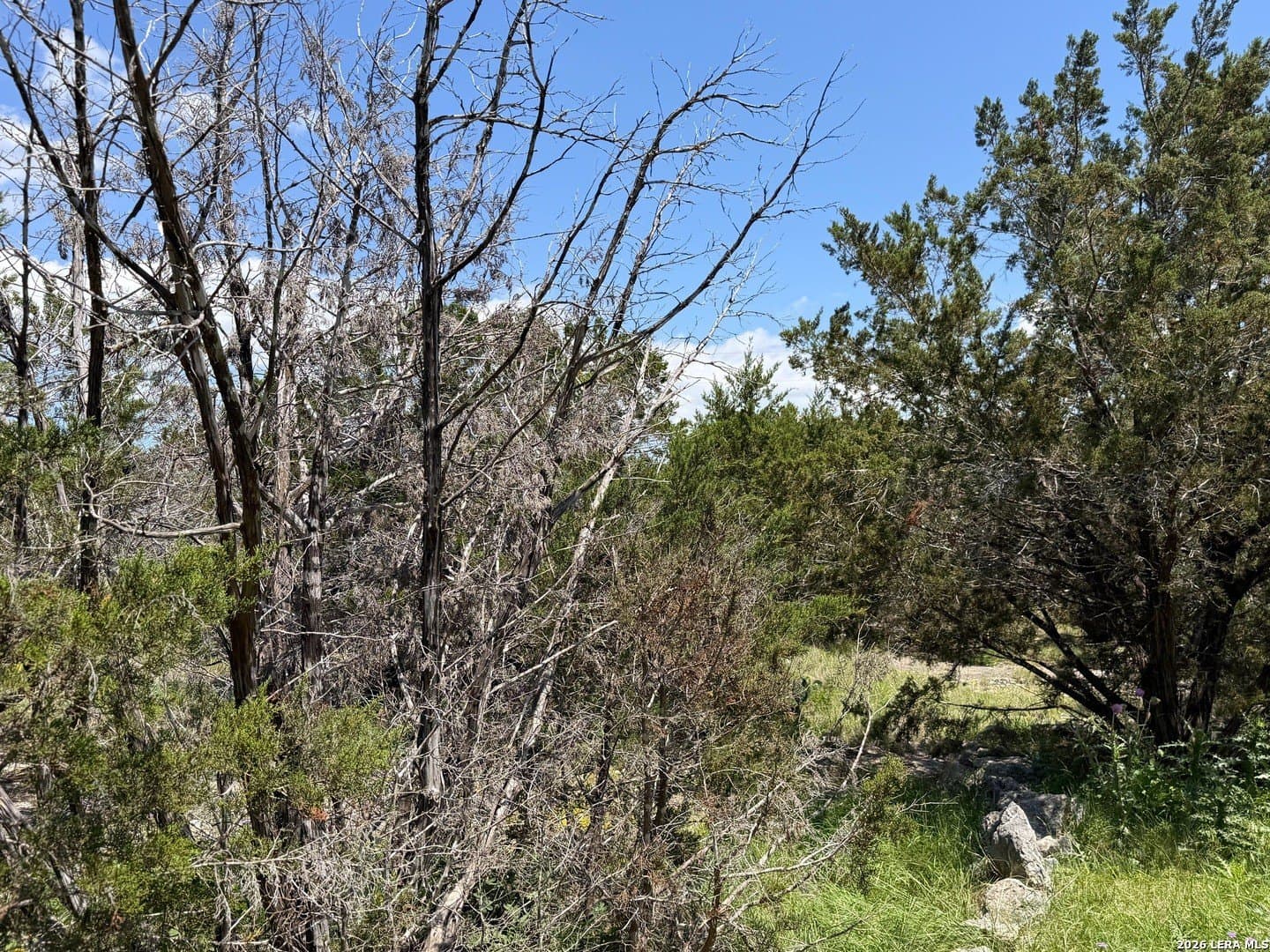 0.13 acres in Comal County - photo 7