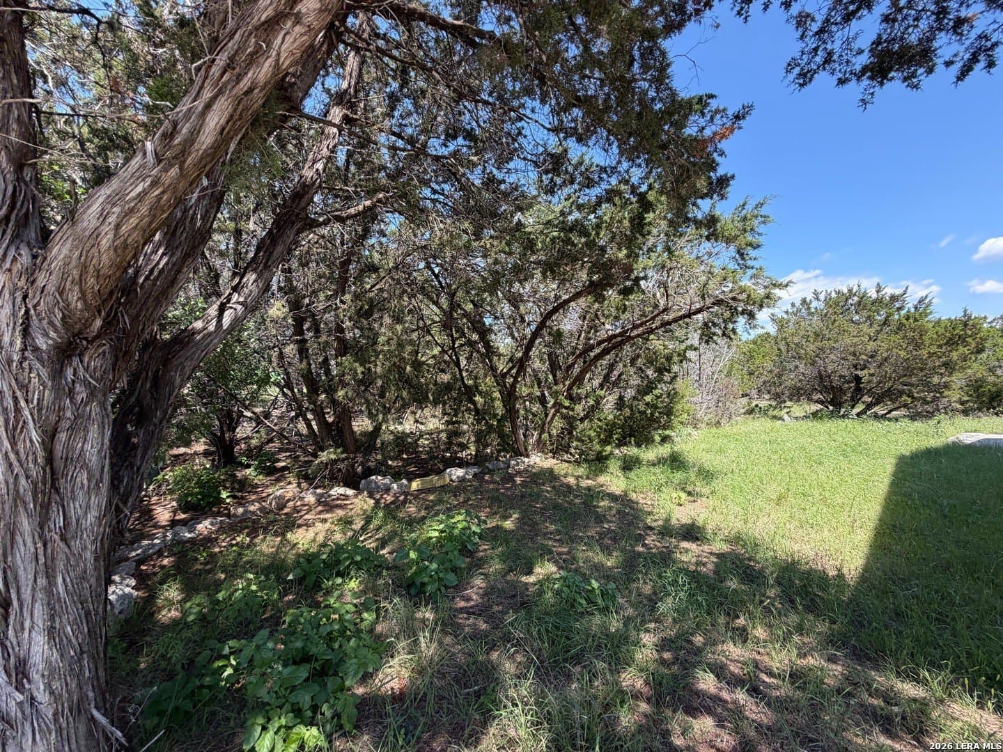 0.13 acres in Comal County gallery image 4