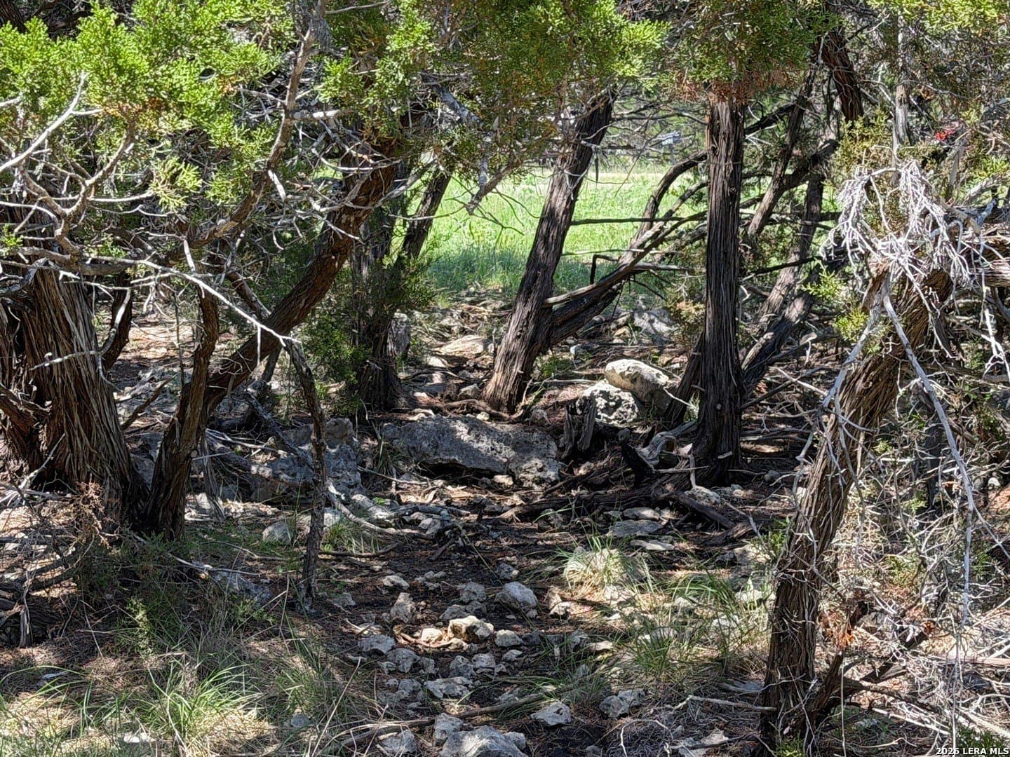 0.13 acres in Comal County - photo 15