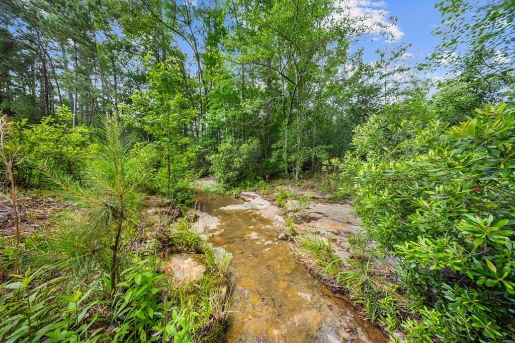 4.38 acres in Texas County - photo 13
