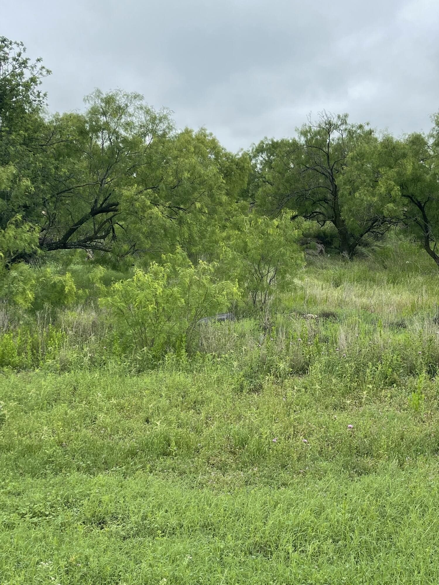 0.17 acres in Tom Green County gallery image 2