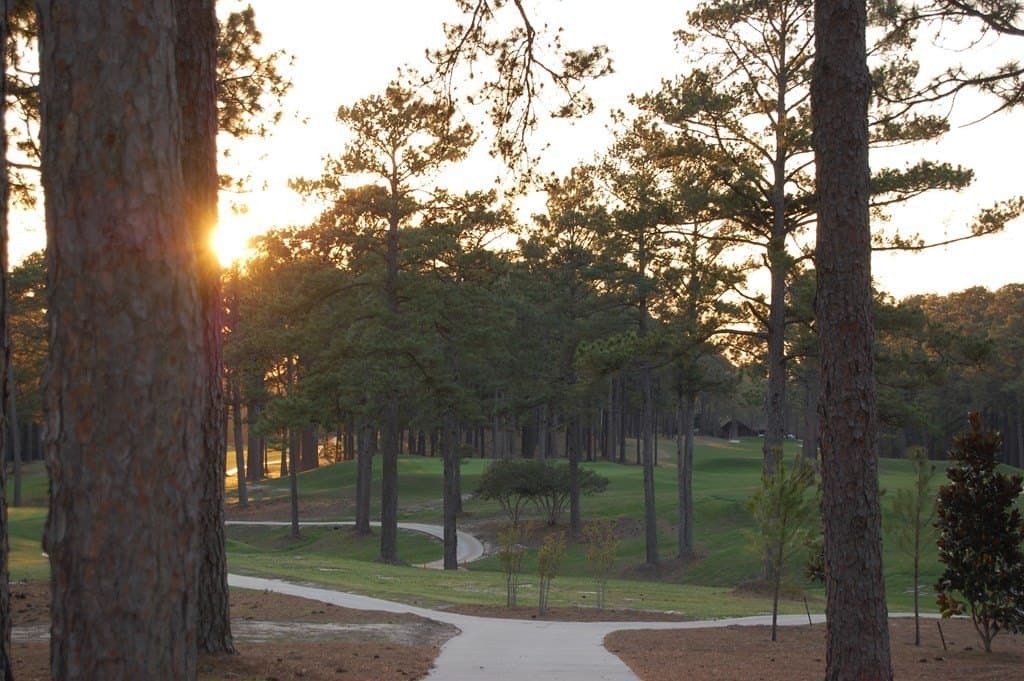 0.24 acres in Texas County gallery image 4