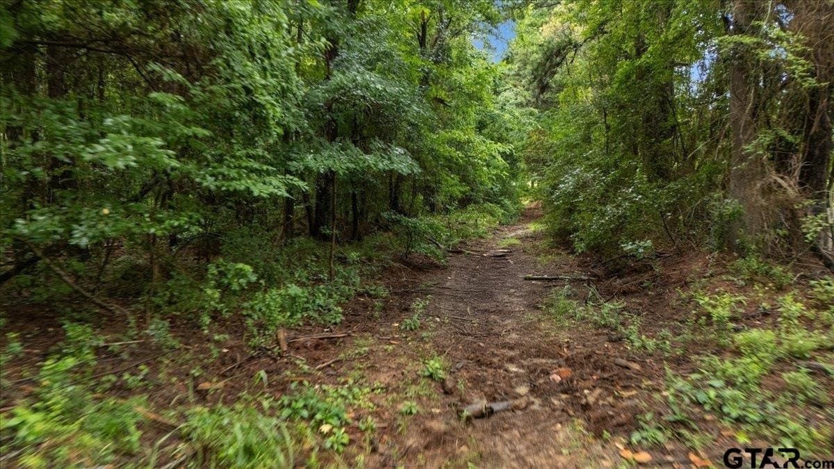 43.17 acres in Henderson County gallery image 2