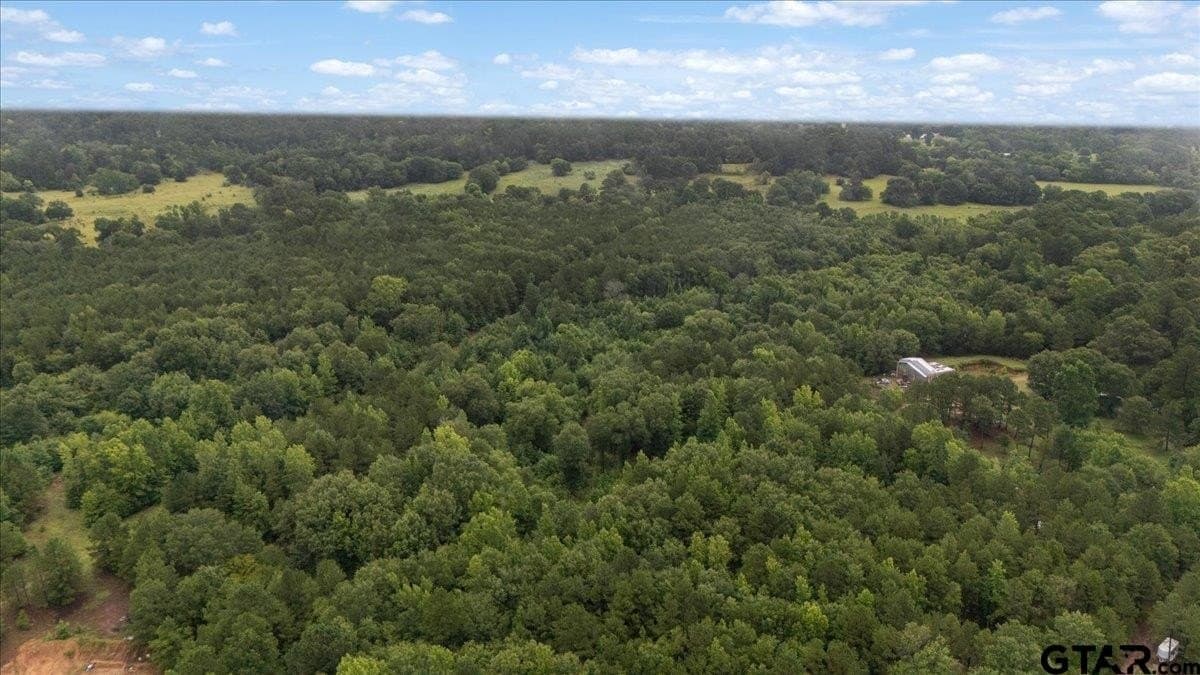 43.17 acres in Henderson County - photo 8