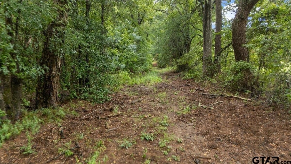 43.17 acres in Henderson County