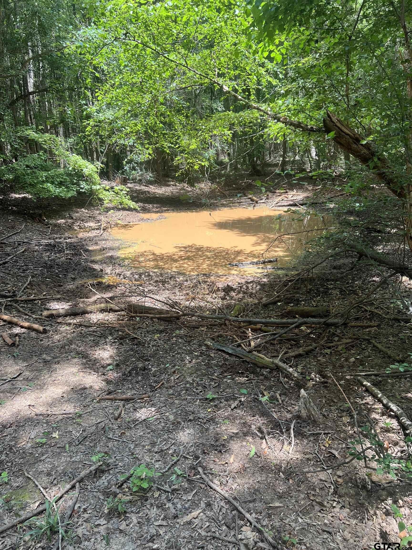 43.17 acres in Henderson County - photo 13