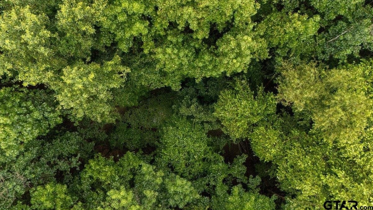 43.17 acres in Henderson County - photo 9