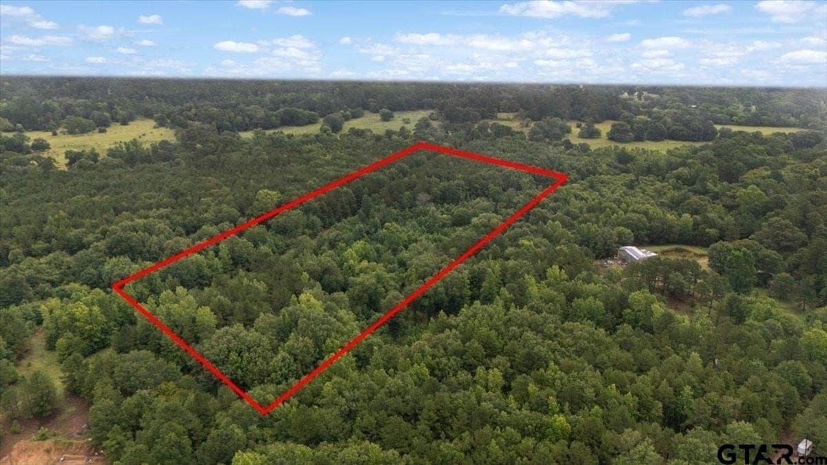 43.17 acres in Henderson County - photo 12