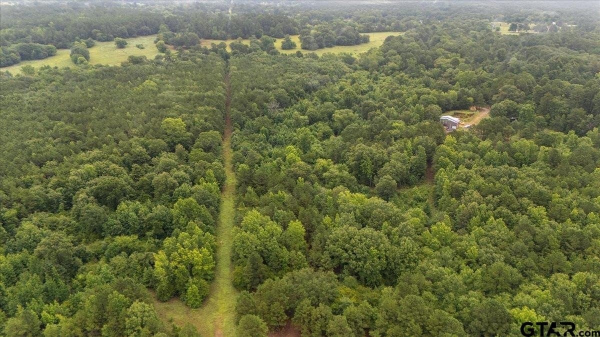 43.17 acres in Henderson County - photo 7