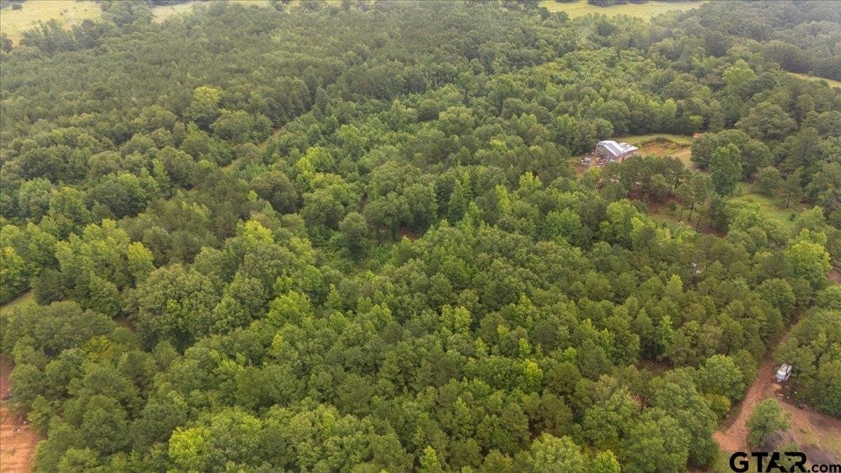 43.17 acres in Henderson County - photo 10