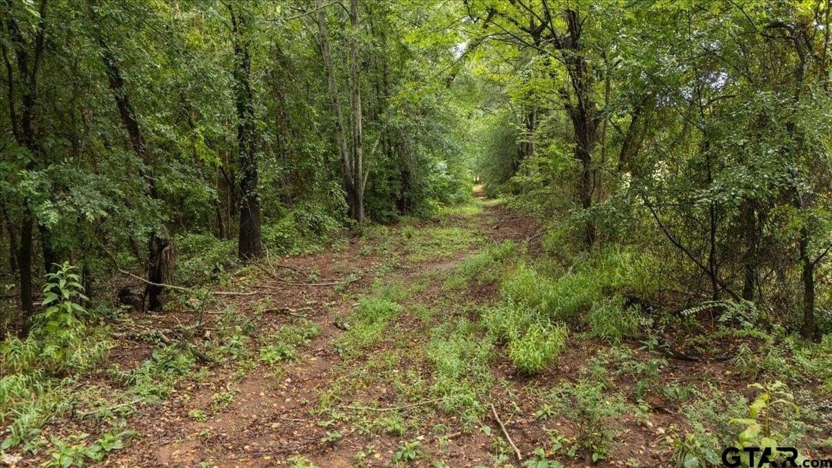 43.17 acres in Henderson County featured view