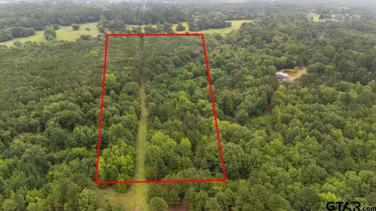43.17 acres in Henderson County - photo 11