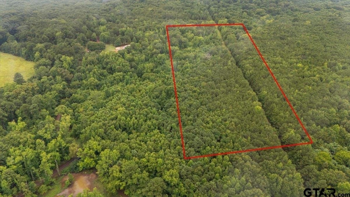 43.17 acres in Henderson County gallery image 4
