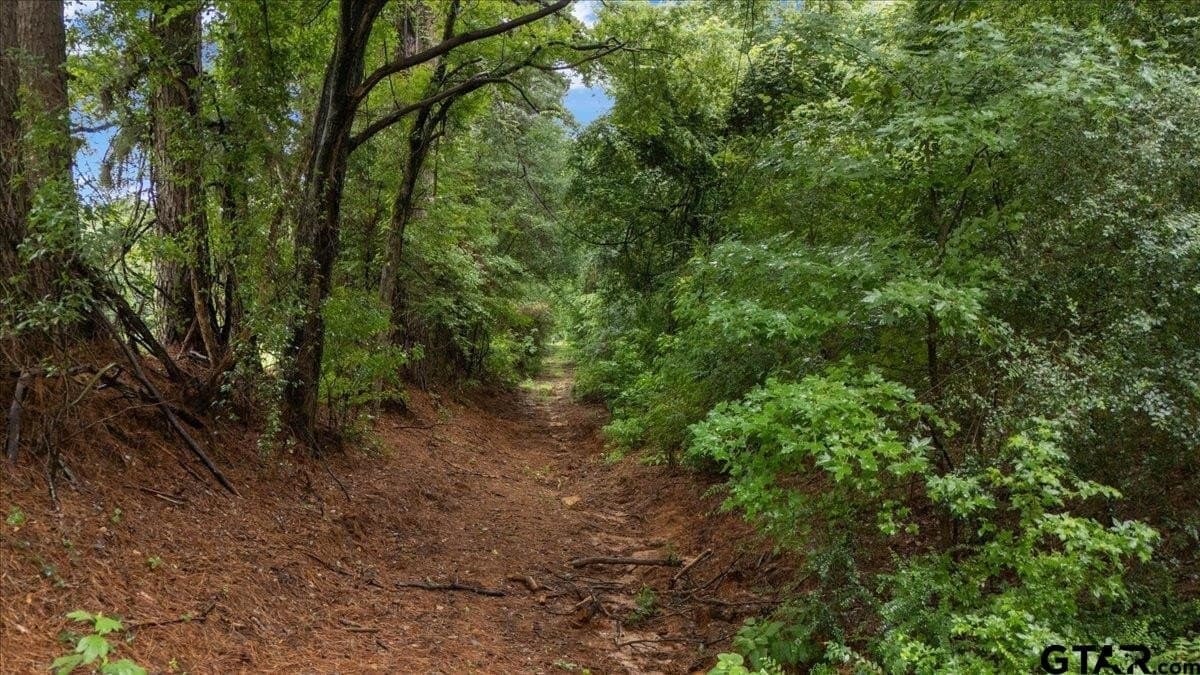 43.17 acres in Henderson County - photo 6