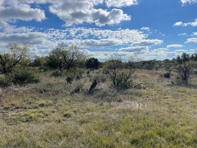 29.92 acres in McCulloch County gallery image 4