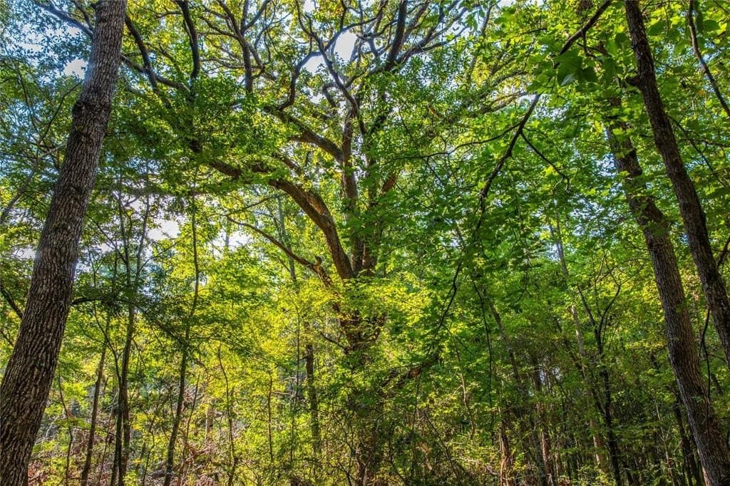 94.5 acres in Henderson County featured view