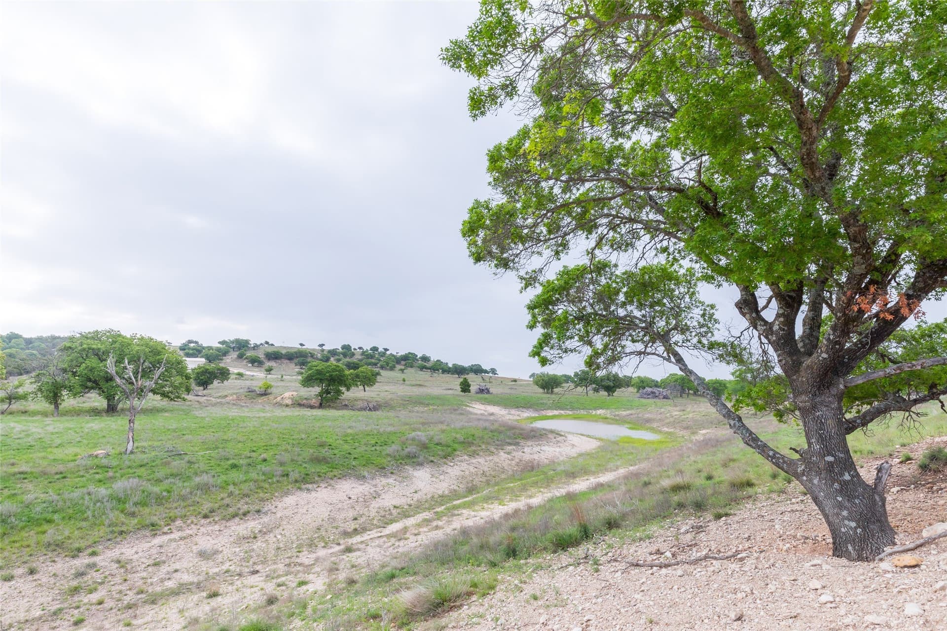 403 acres in Taylor County - photo 14