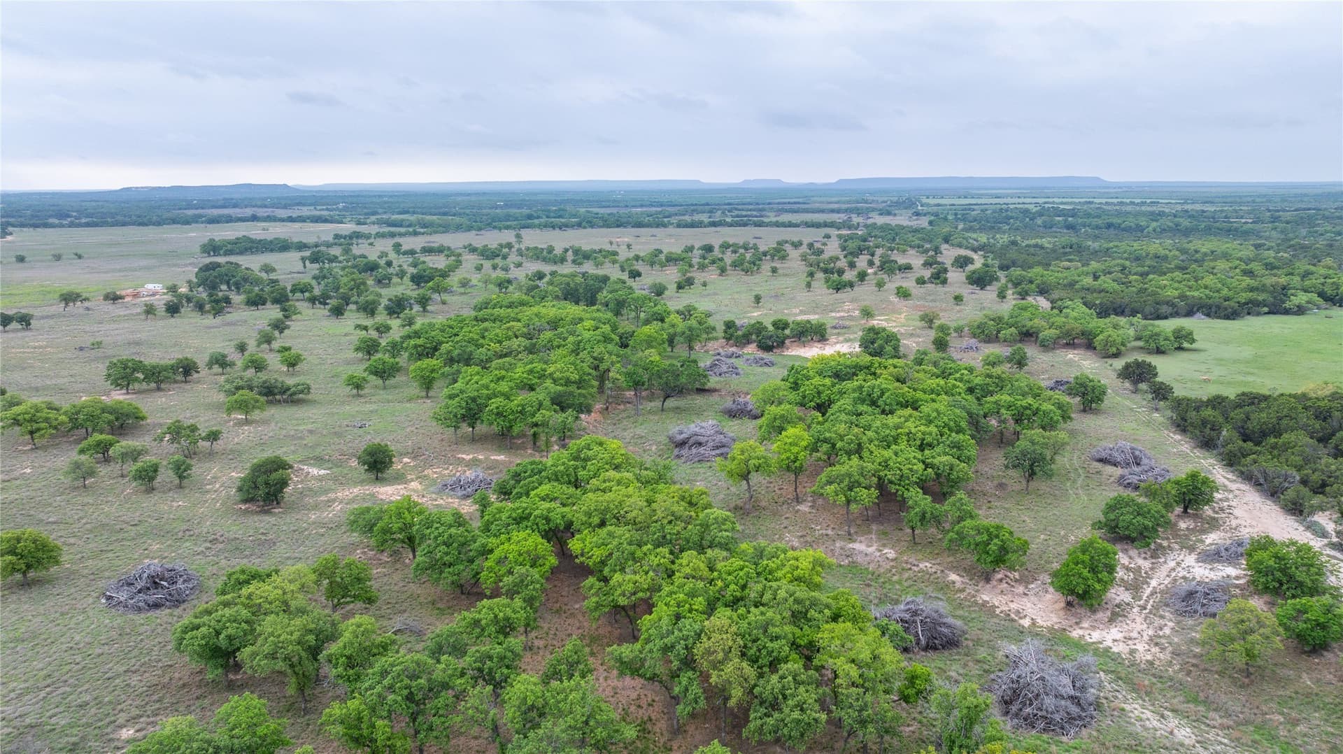 403 acres in Taylor County - photo 28