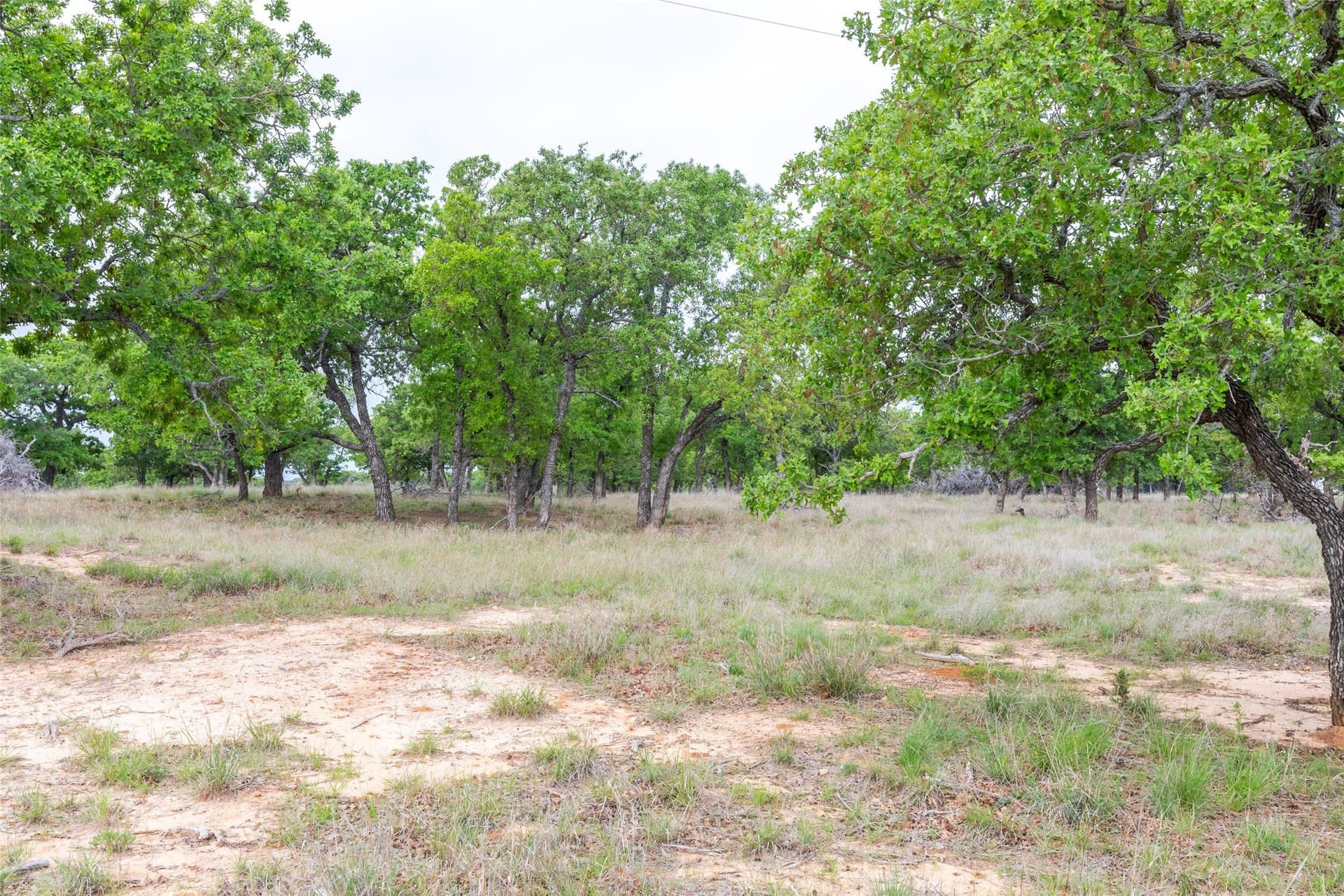 403 acres in Taylor County - photo 18