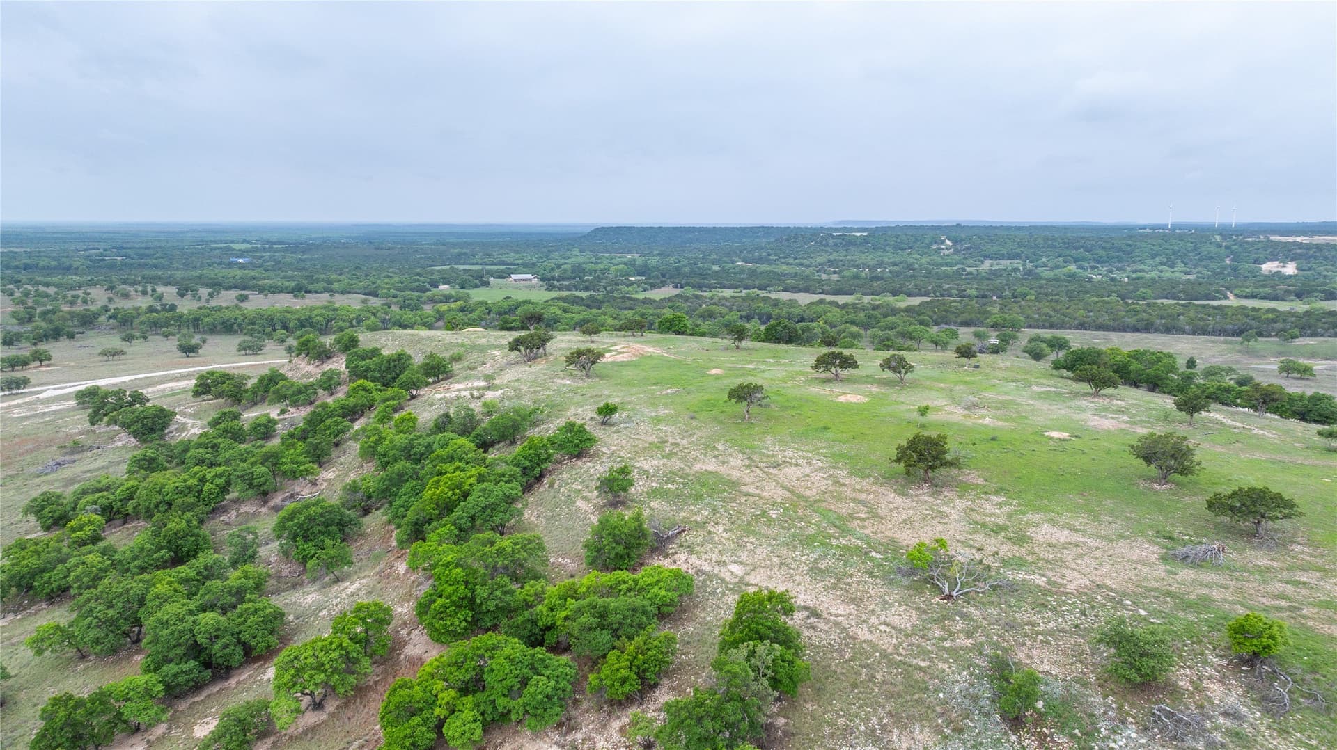 403 acres in Taylor County - photo 19