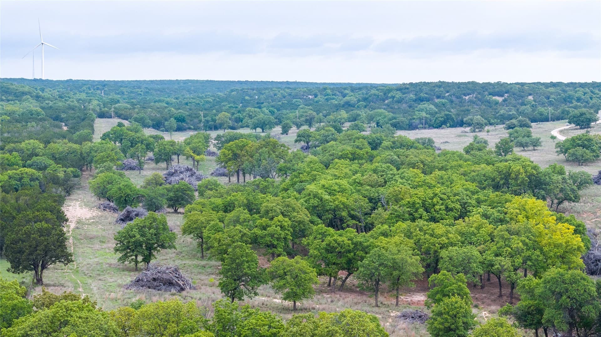 403 acres in Taylor County - photo 27