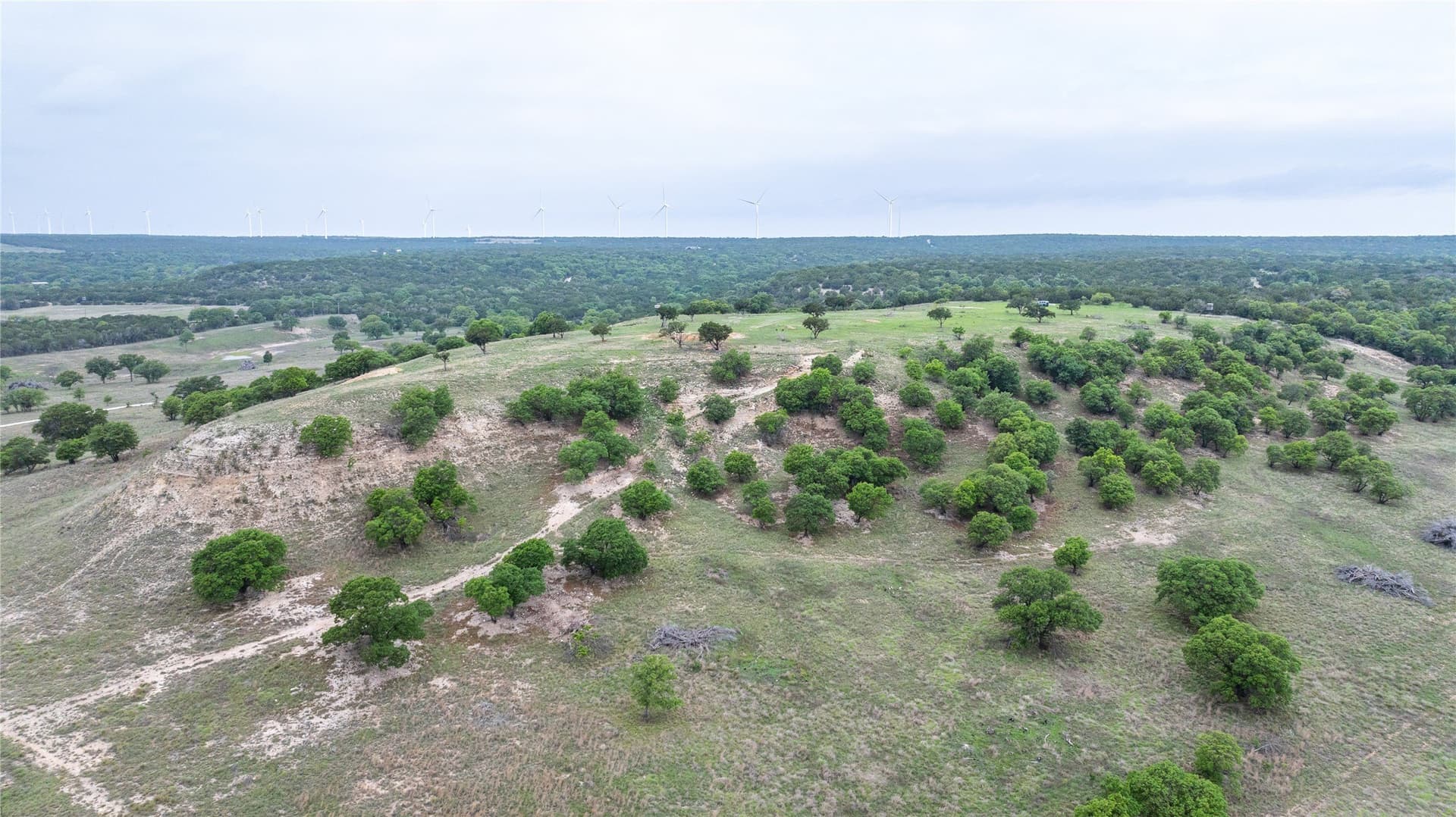403 acres in Taylor County - photo 24