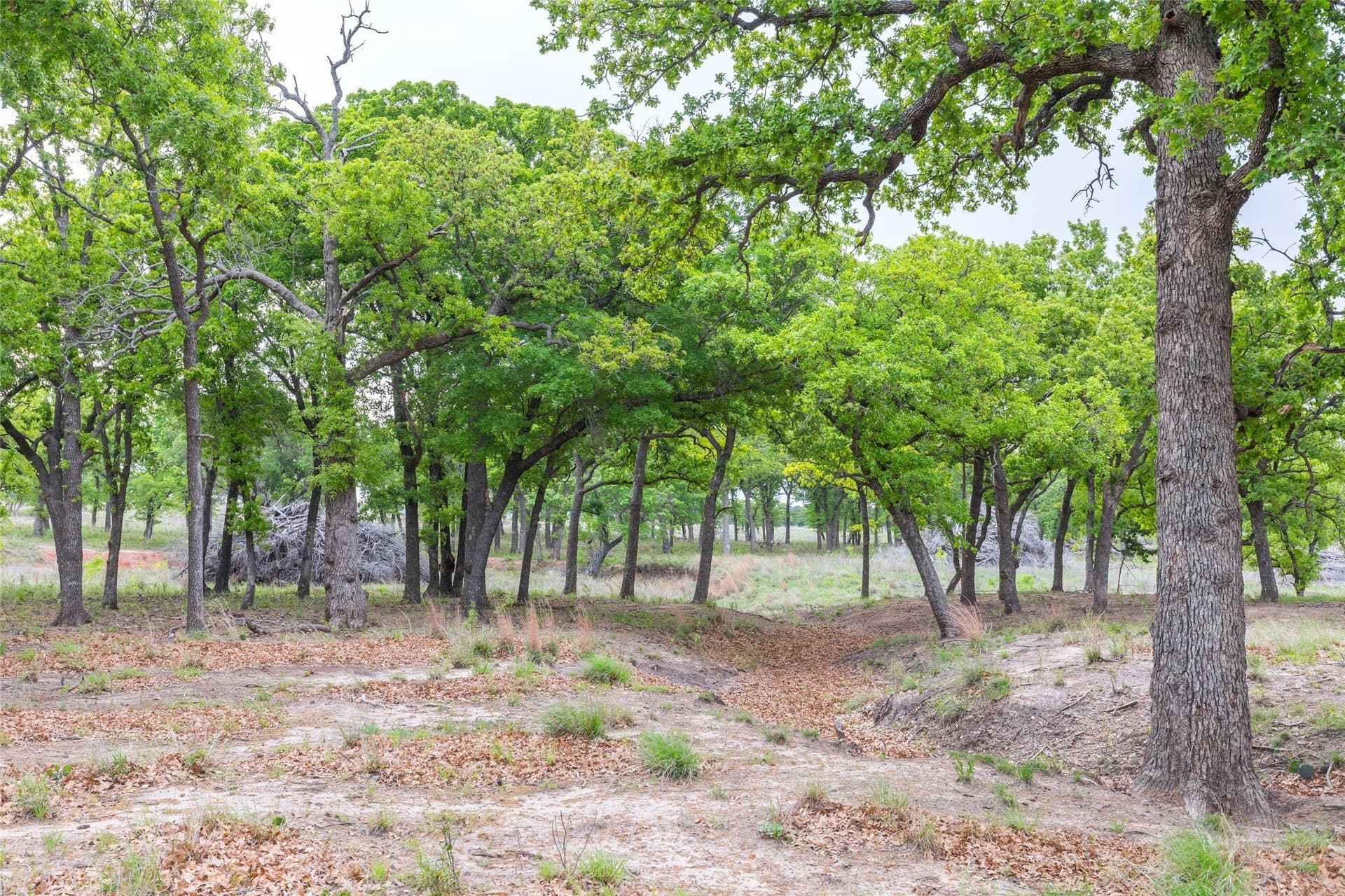 403 acres in Taylor County - photo 10