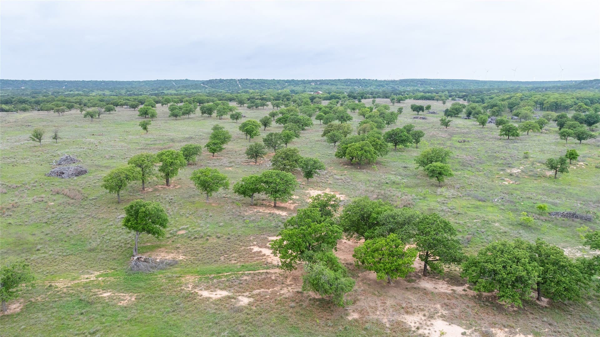 403 acres in Taylor County - photo 26