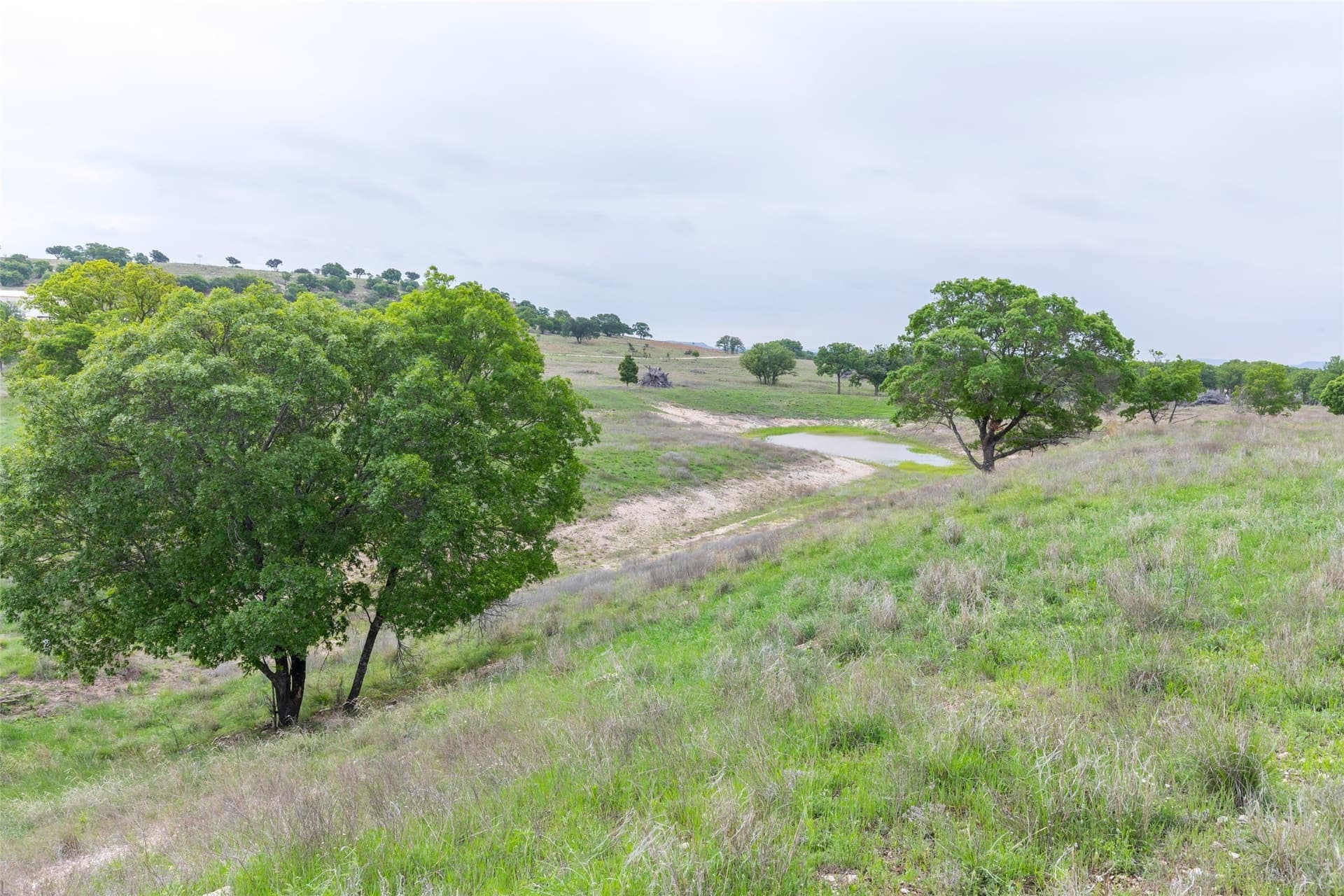 403 acres in Taylor County - photo 15