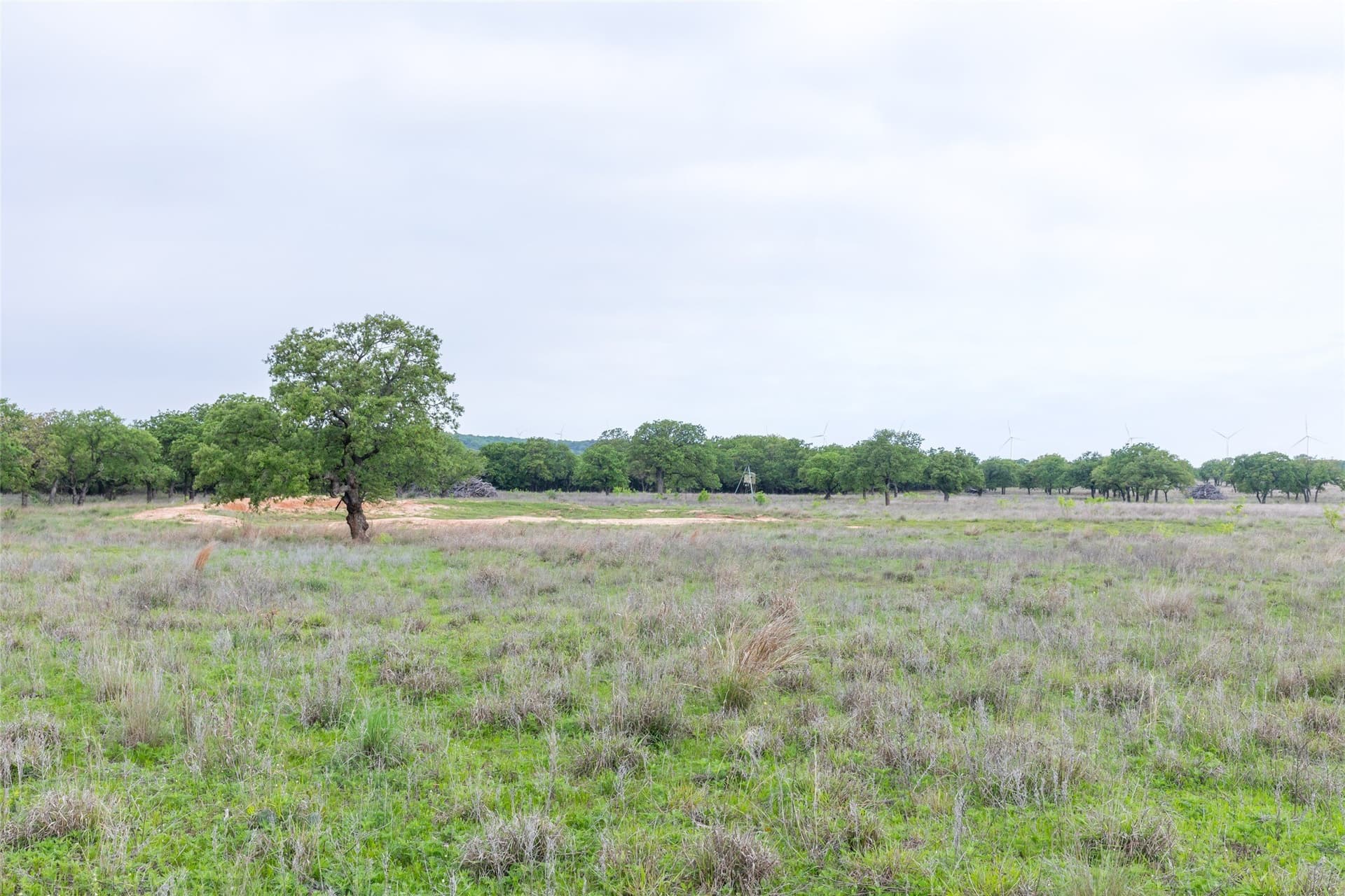 403 acres in Taylor County - photo 7