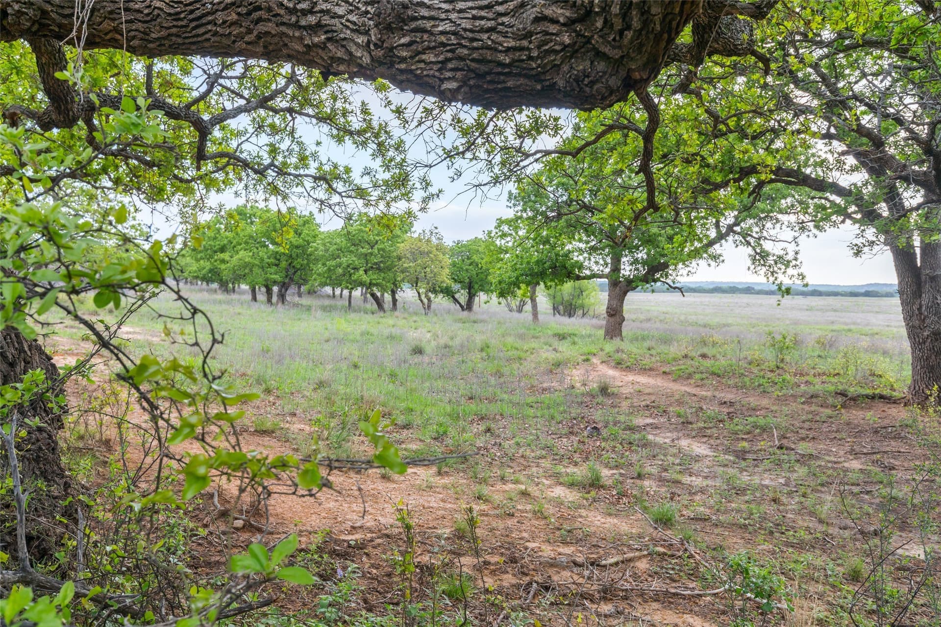 403 acres in Taylor County - photo 3