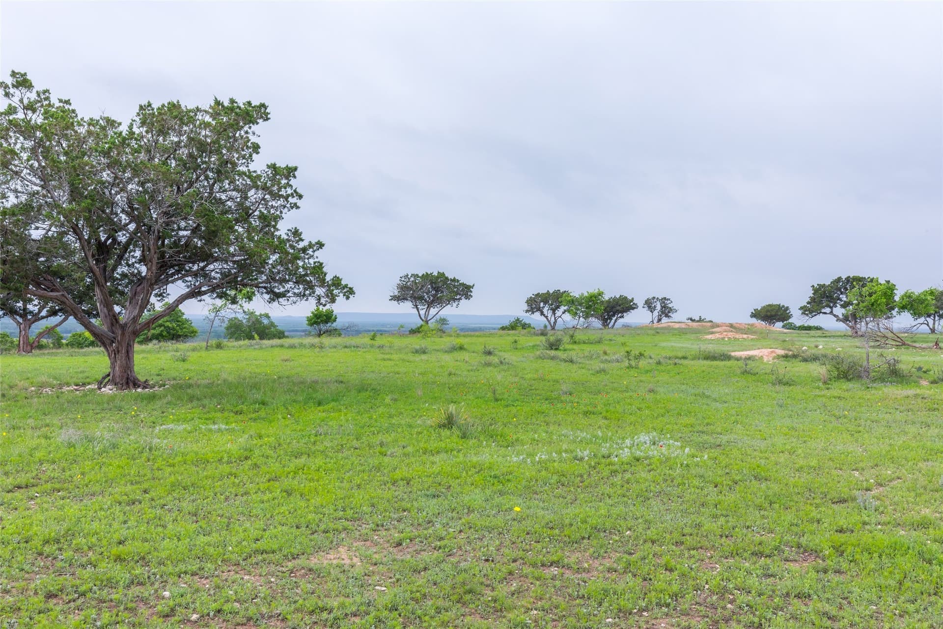 403 acres in Taylor County - photo 17