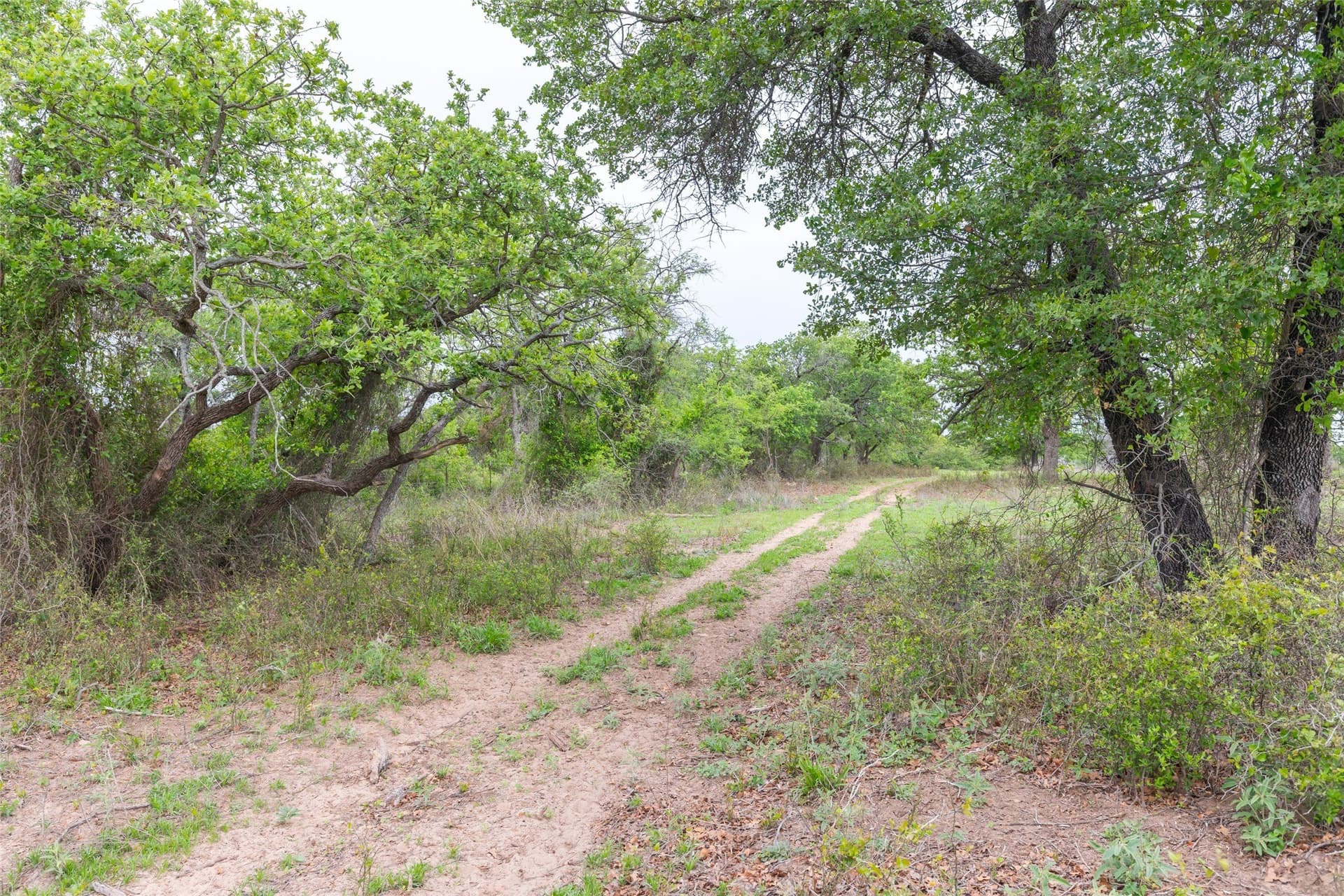 403 acres in Taylor County - photo 5