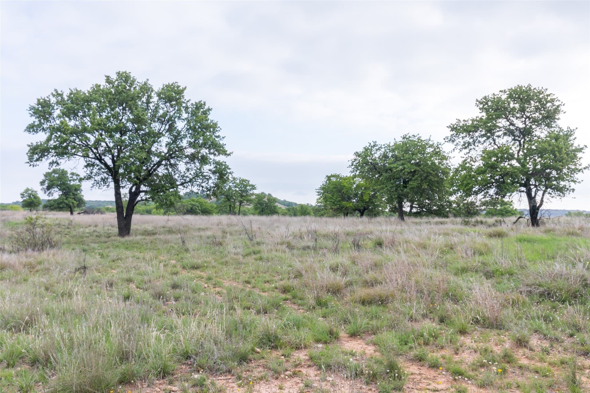 403 acres in Taylor County - photo 9